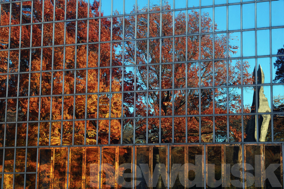 fall at the met